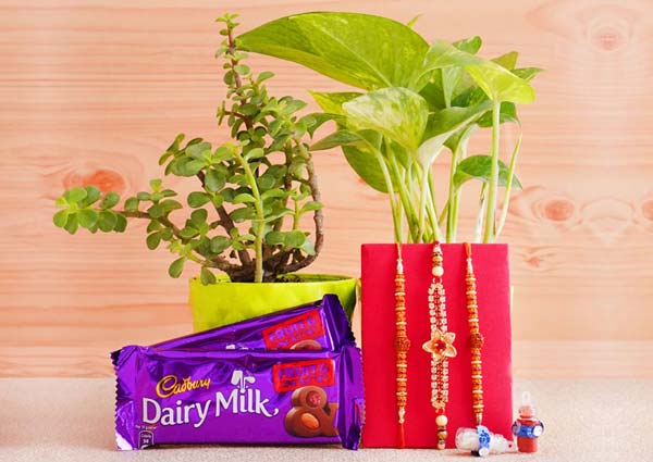 Rakhi with Plants