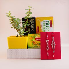 Two Silver Rakhis with jade Plant Gift Hamper
