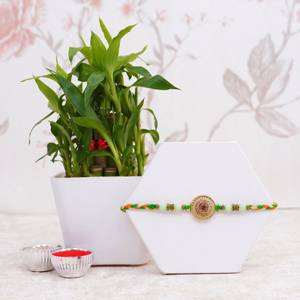 Pearl Rakhi with Lucky Plant for Brother - Rakhi with Plants