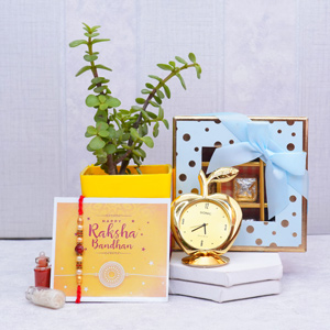 Pearl Rakhi with Potted Jade Plant N Clock - Rakhi with Plants